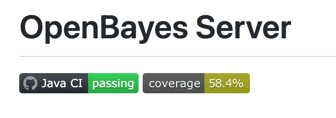 screenshot for openbayes server code converage before